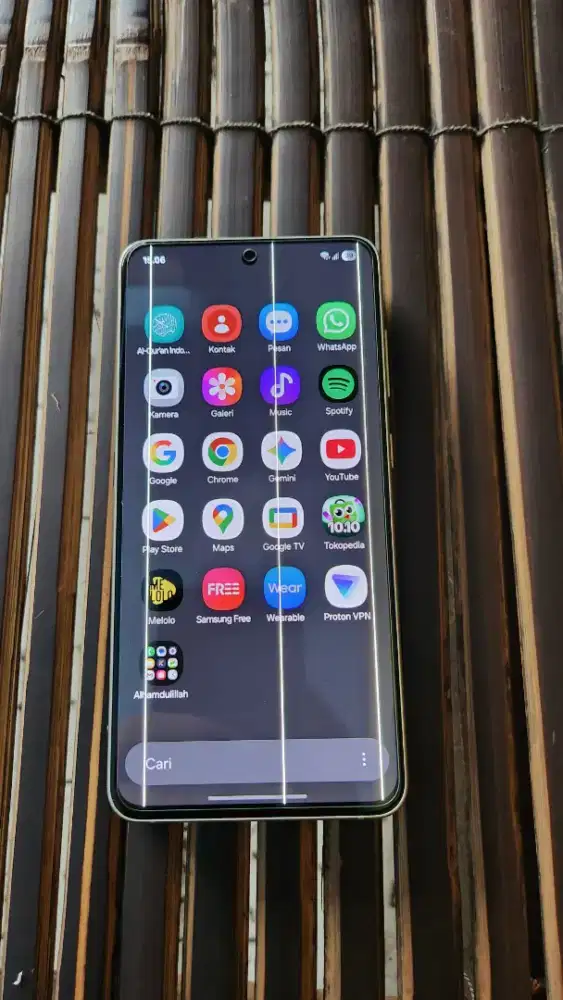 Samsung S21 FE   Green Line LCD