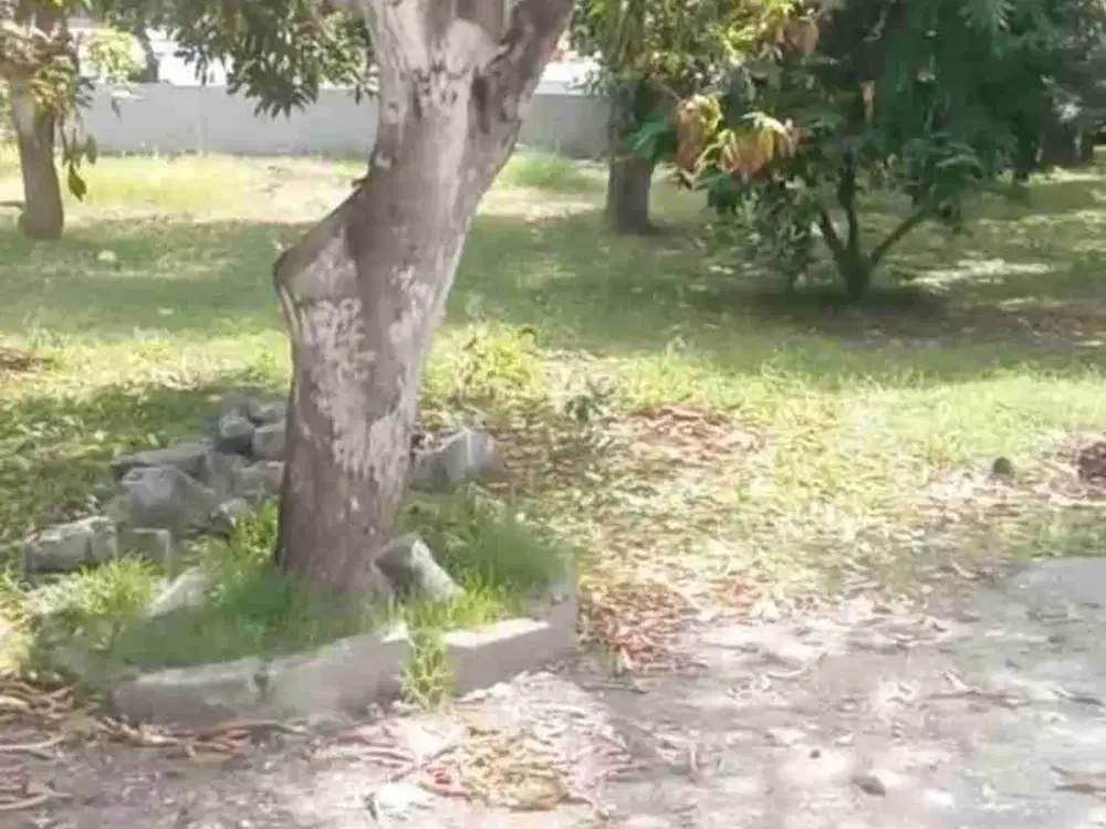 Tanah Sanur Batur Sari Lahan Langka