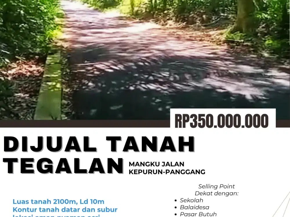 TANAH TEGALAN MURAH MANGKU JALAN KEPURUN-PANGGANG COCOK UNTUK INVESTASI