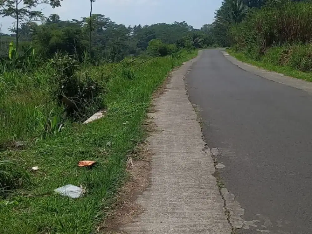 Butuh Uang Cepat Tanah Kebun Murah Pinggir Aspal Pakisaji