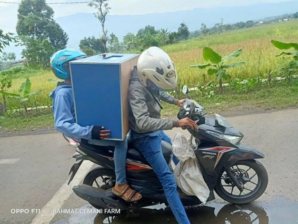 Mesin penetas telur otomatis