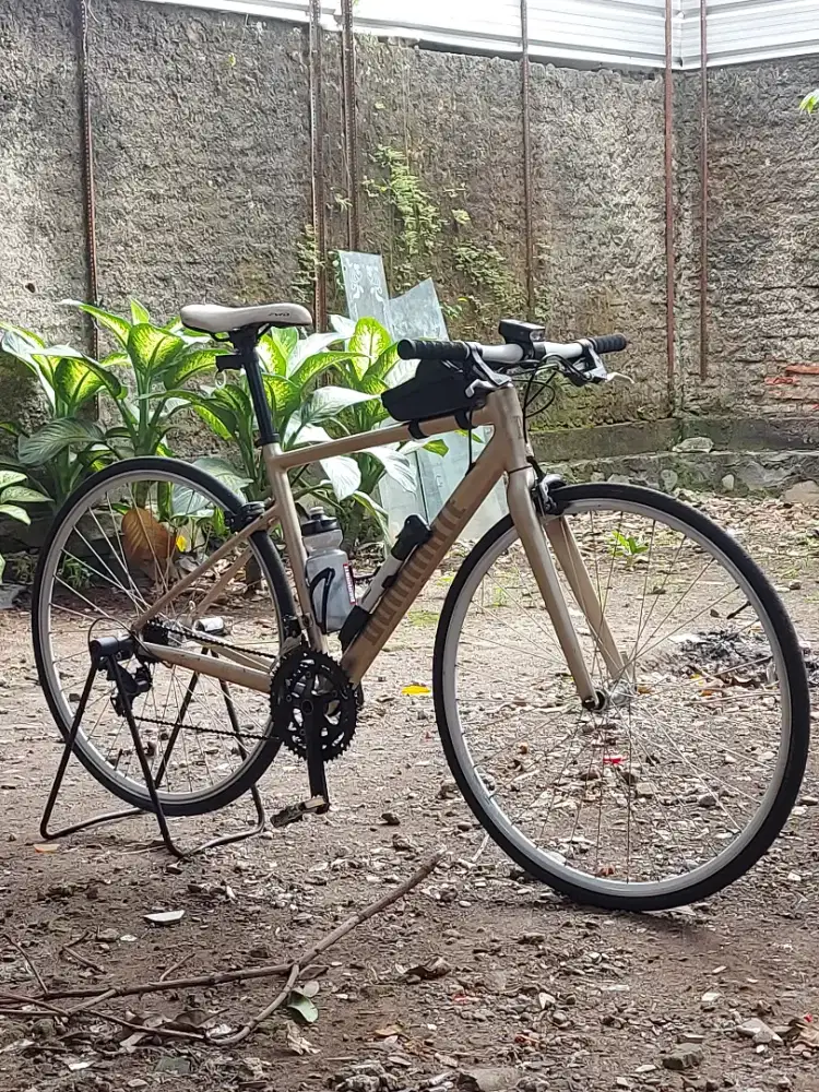 Sepeda Hybrid Dominate RR