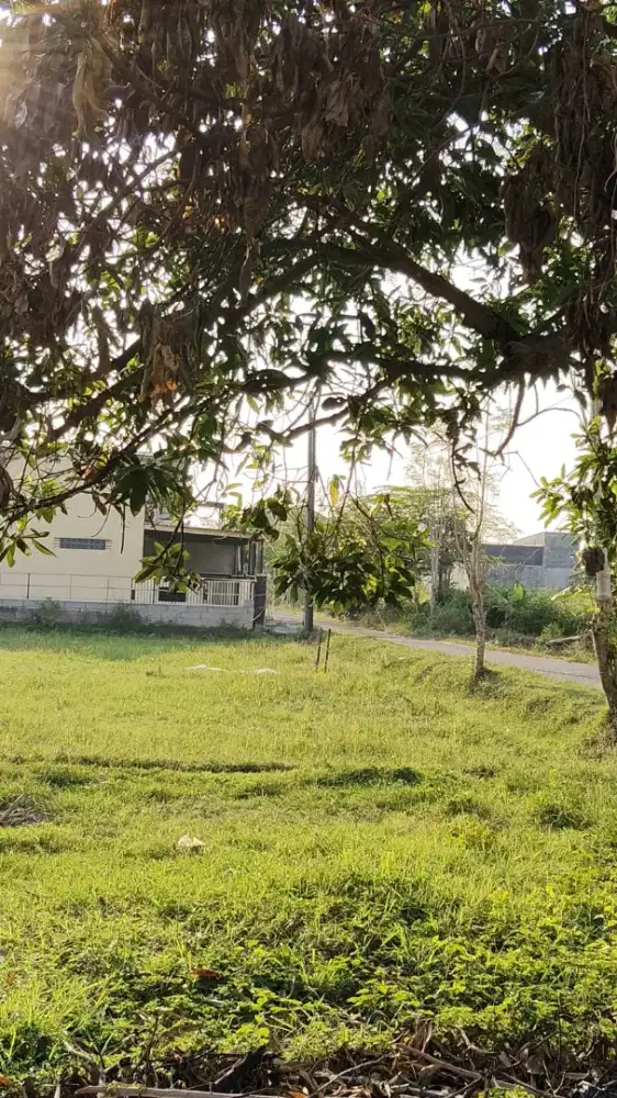 Tanah Pokoh Utara Alun2 Karanganyar