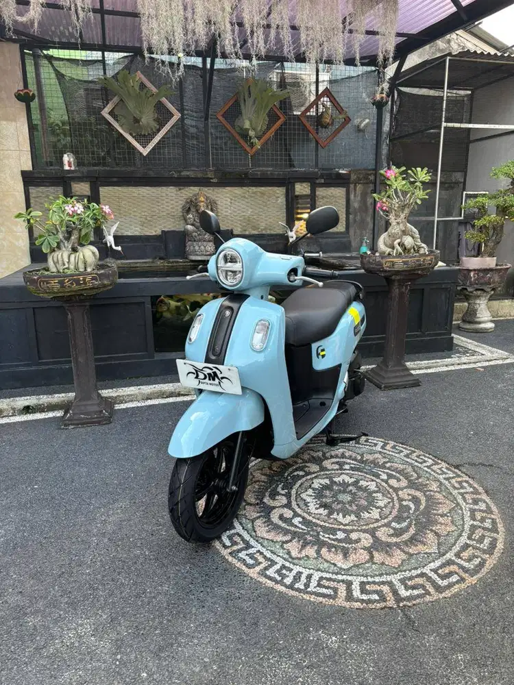 Fazzio neo tahun 2023