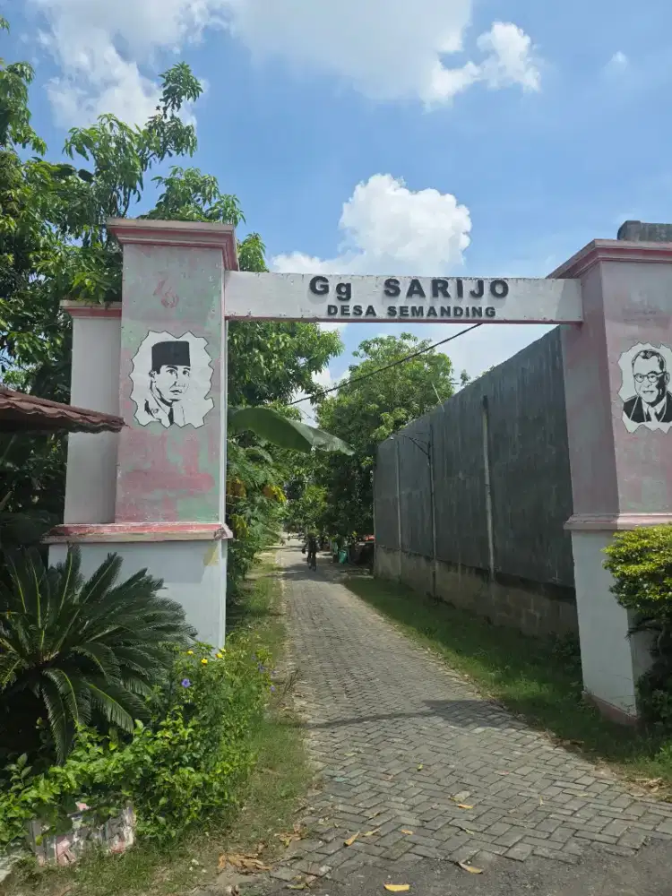 Dijual tanah siap bangun di Gg Sarijo Semanding Kabupaten Bojonegoro