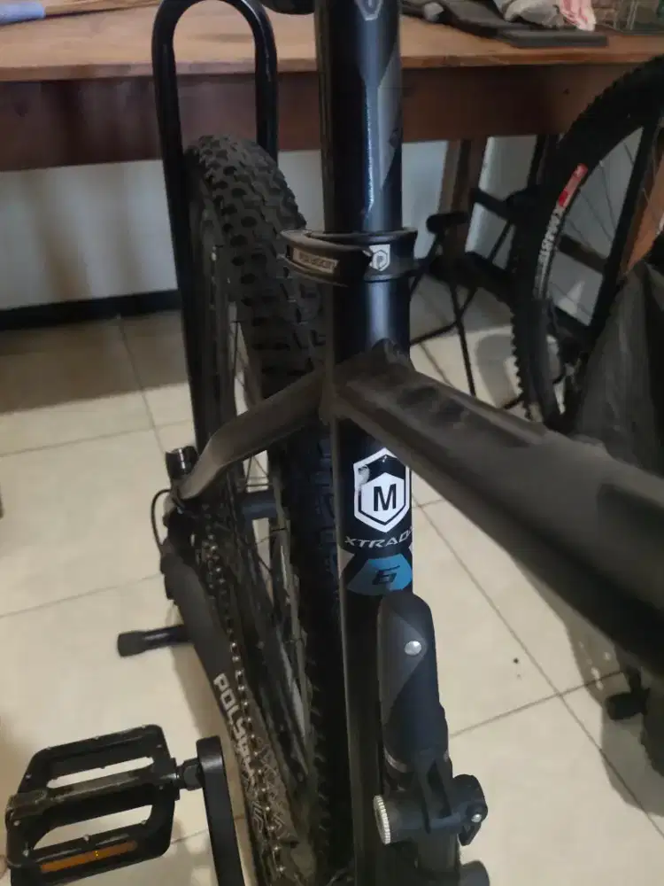Xtrada 6 - 2019