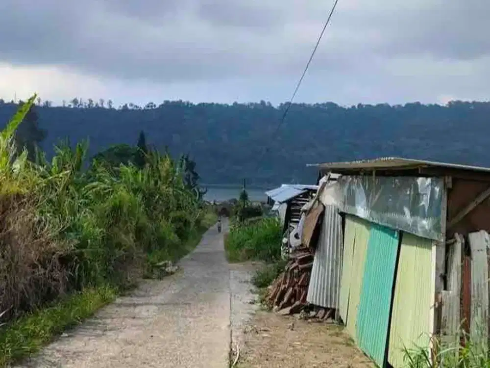 jual tanah bedugul puncak sari