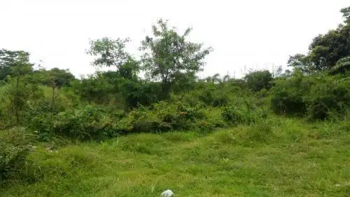 Jual cepat tanah kosong