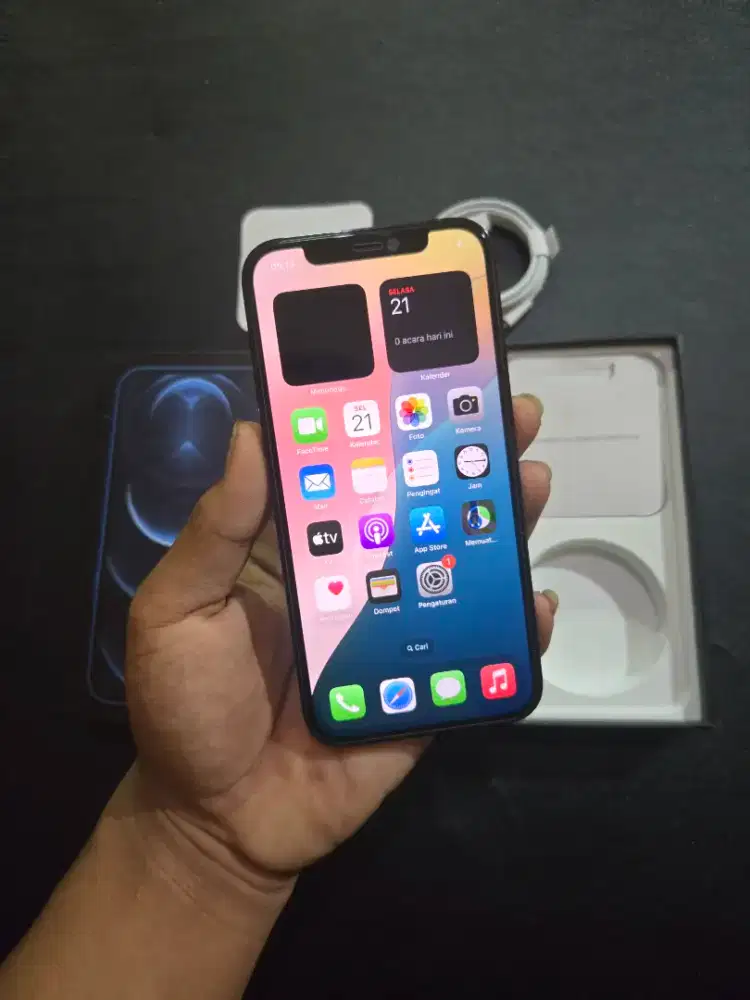 iPhone 12 Pro 256gb inter LL/A