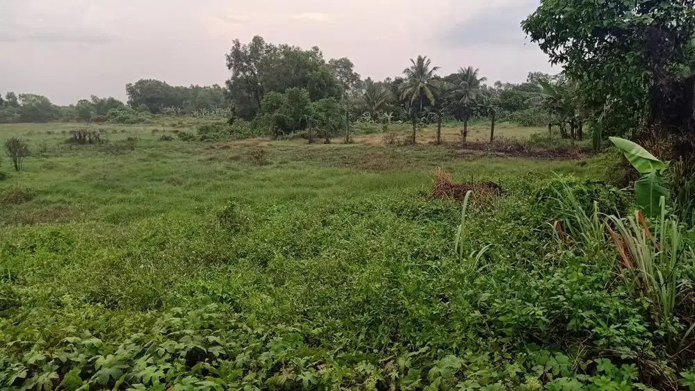 Jual cepat tanah kosong