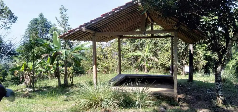 Super Murah! Dijual Tanah / Lahan / Kebun Durian Produktif