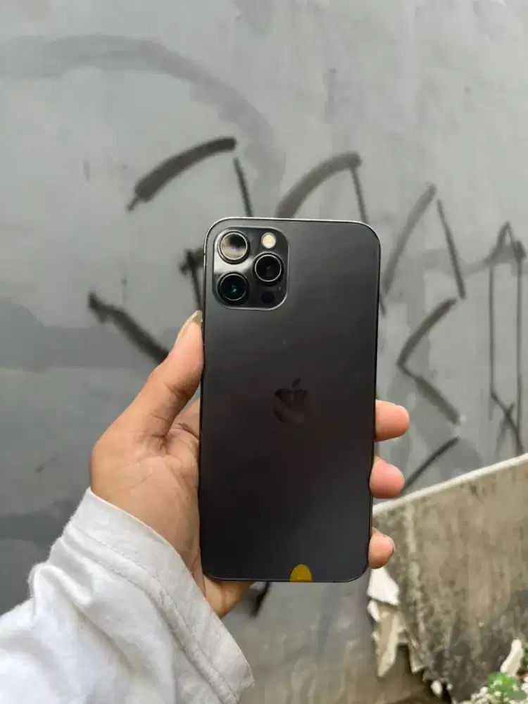 iPhone 12 Promax