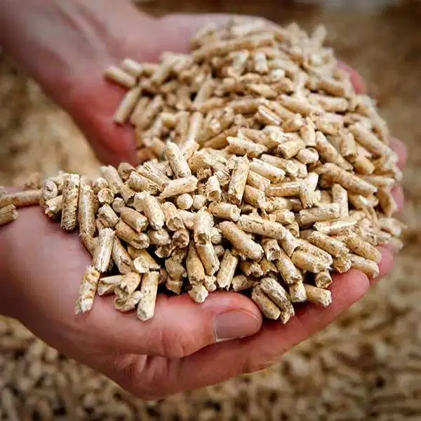 Dicari Wood Pellet