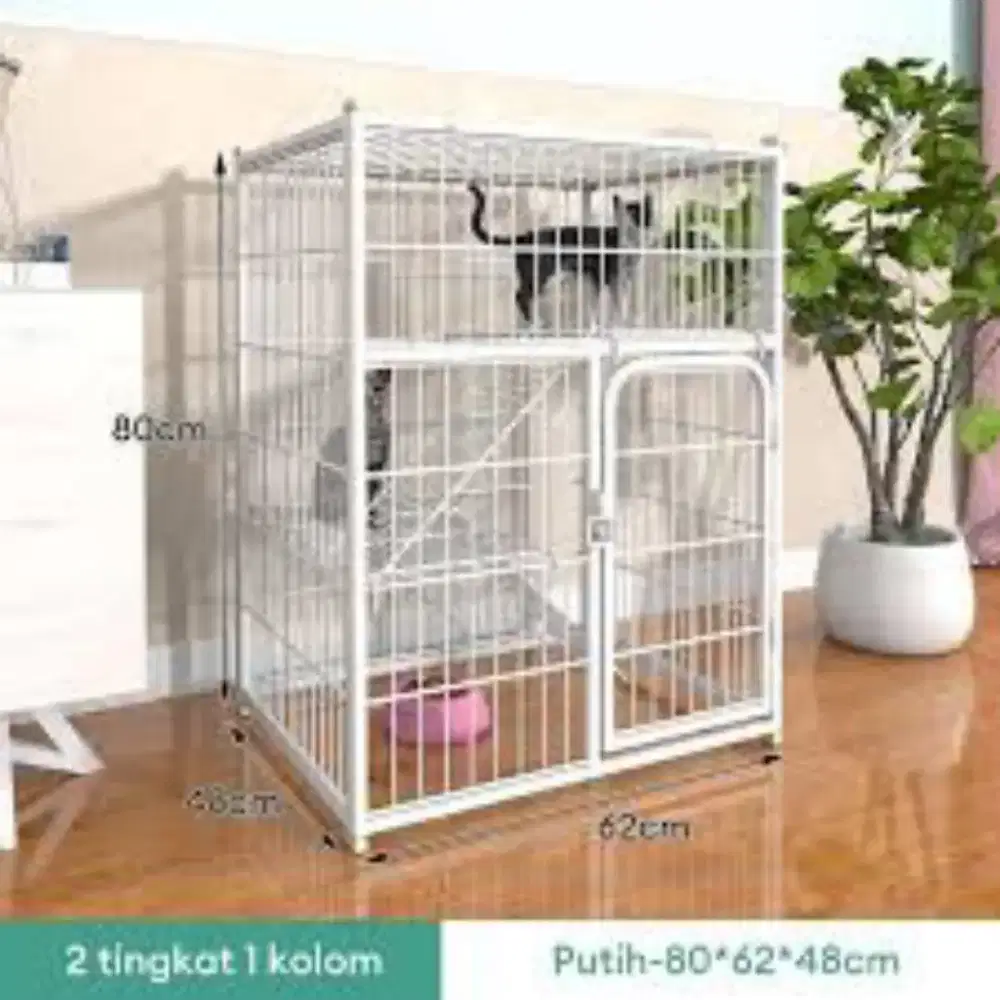 kandang kucing besar