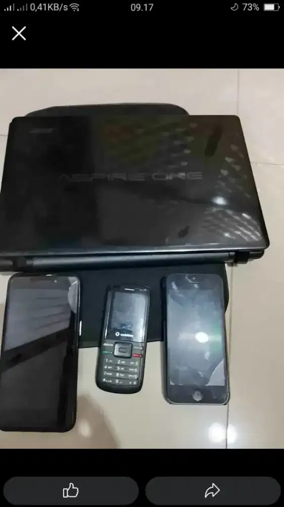 Jual aja Borongan