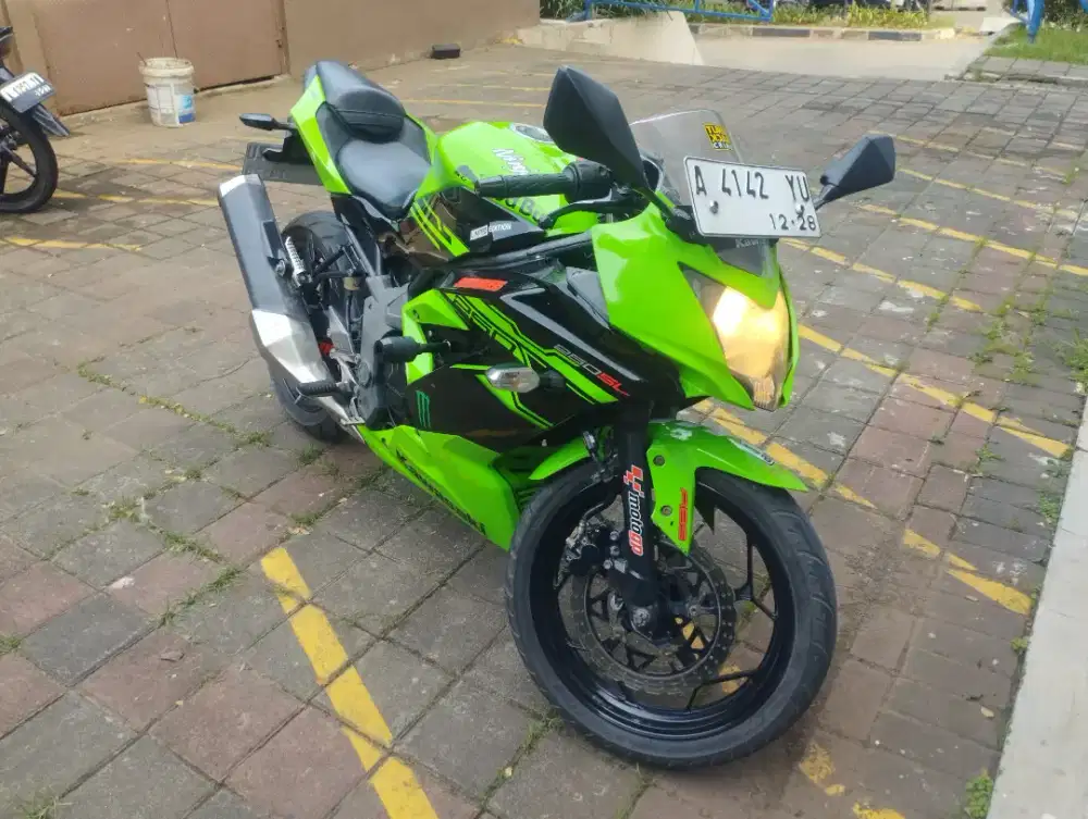 Kawasaki Ninja 250 SL Mono
