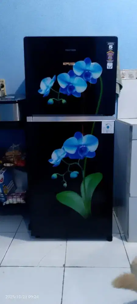 Kulkas Polytron model terbaru terawat