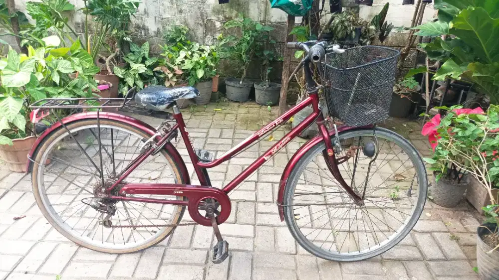Sepeda keranjang siap gowes