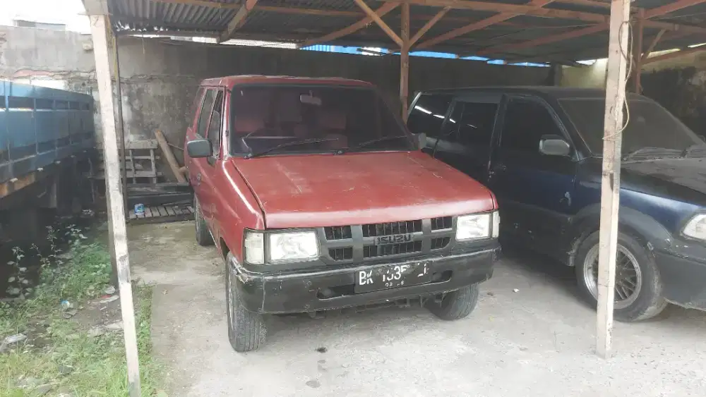 Jual Phanter royal