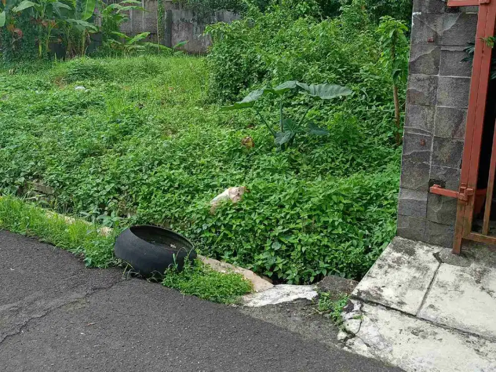 DIJUAL Cepat Tanah Komplek Kampus Purwokerto