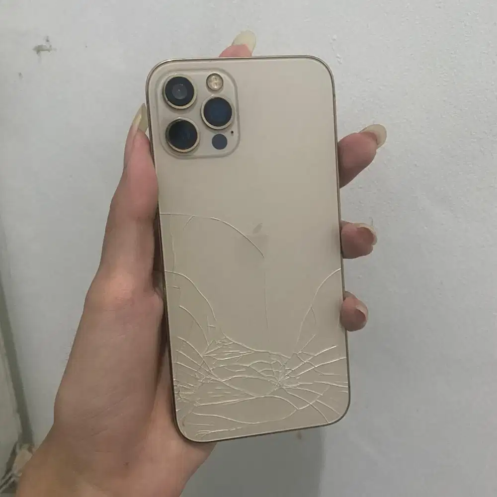 iPhone 12 Pro 256 becuk murah