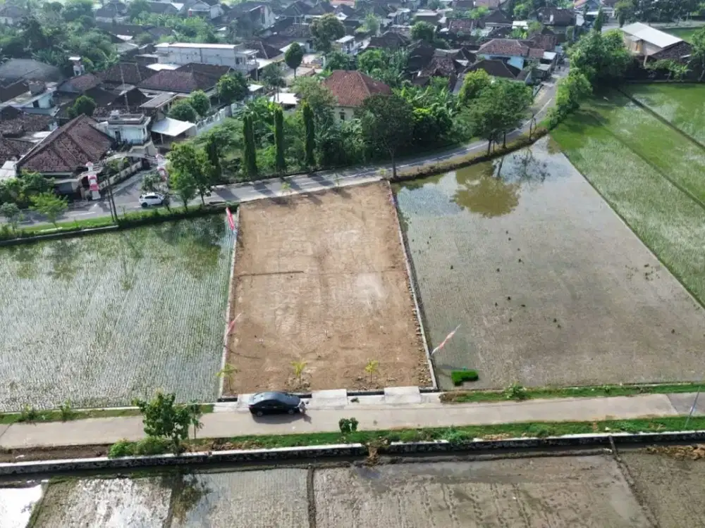 Tanah Kapling Pulosari Beautiful Land