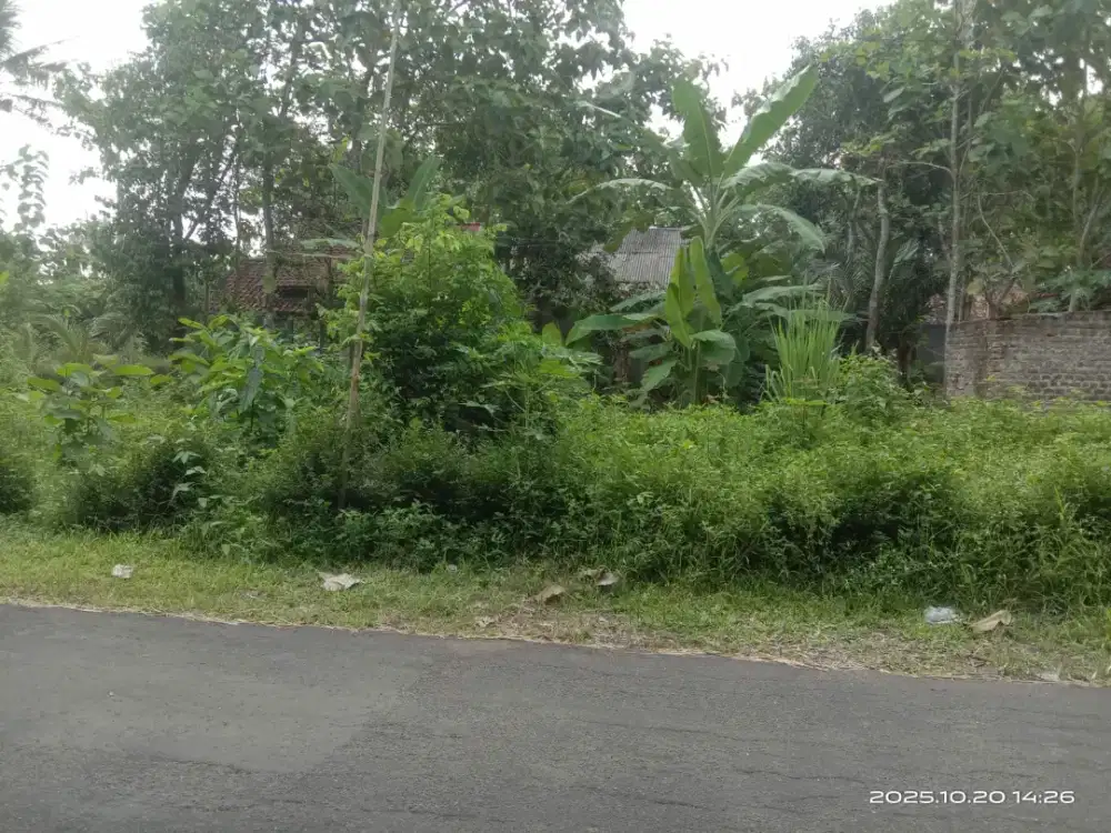 Dijual Tanah Pekarangan dekat Mang Engking Sendangrejo Minggir Sleman