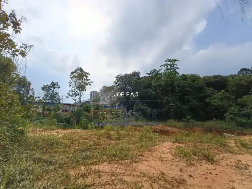 Lahan Pariwisata Strategis di Nongsa – View Singapore