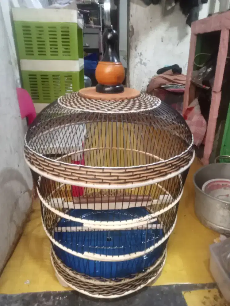 Sangkar tekukur baru TB copotan
