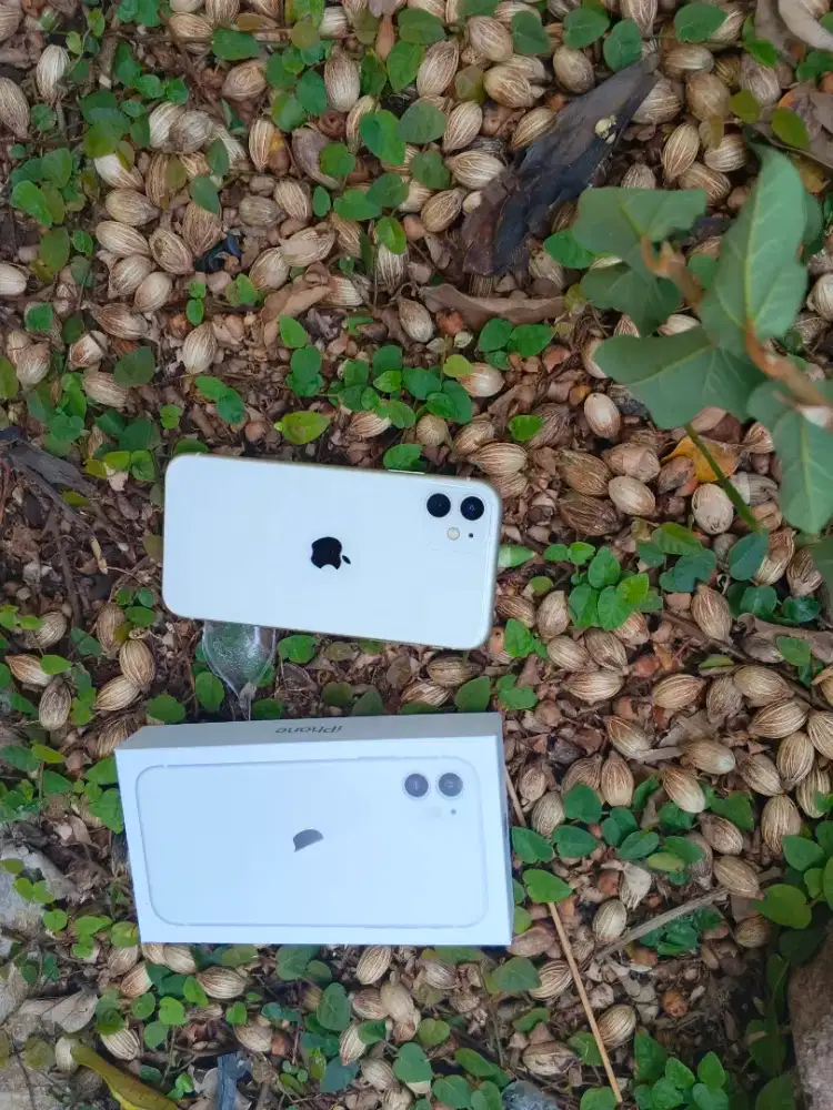 Iphone 11 128gb seeprti baru