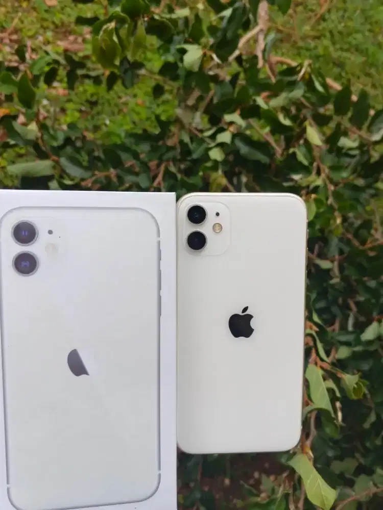Iphone 11 128gb pusat putih apple