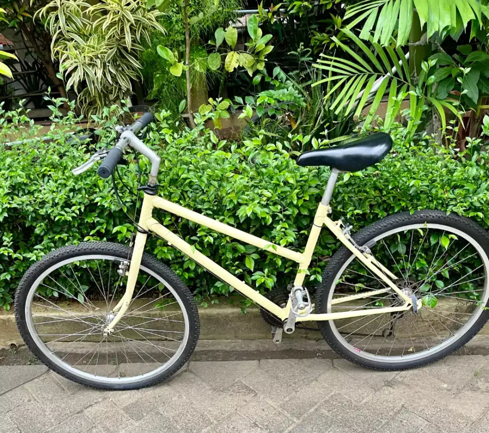 Sepeda Federal Lady original