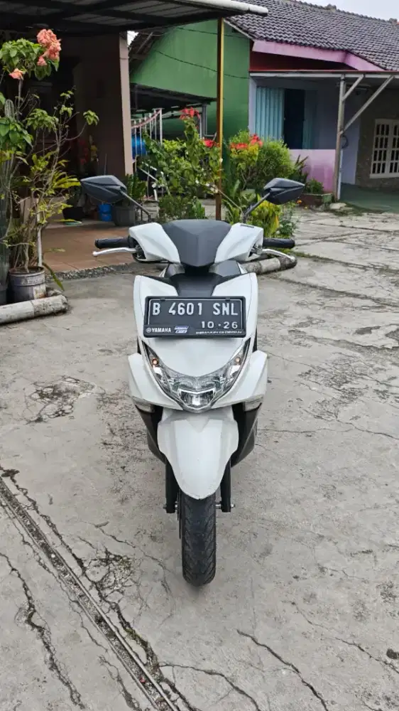 Djual butuh yamaha frego