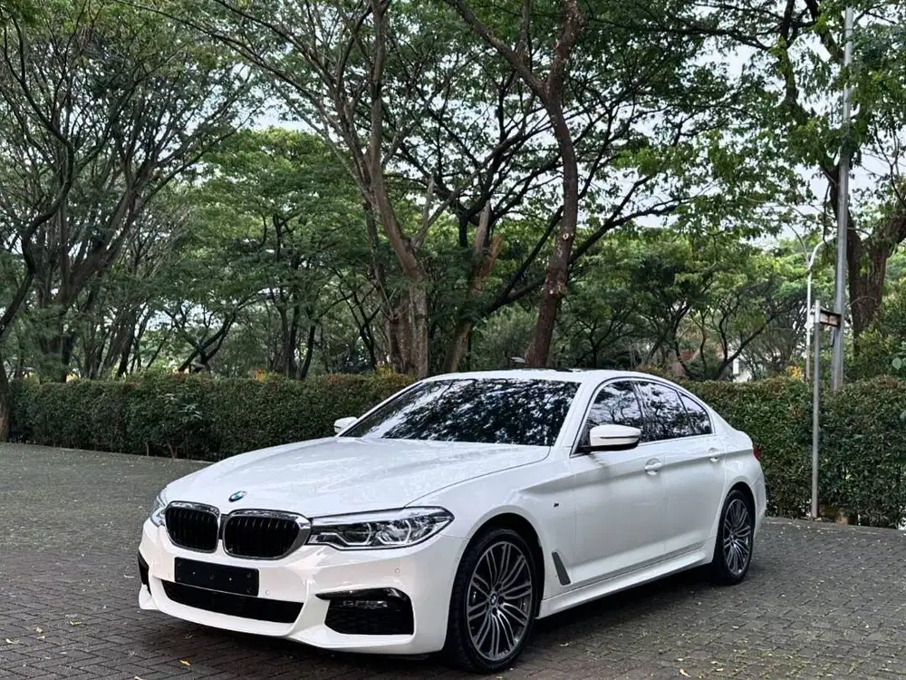 BMW 530i MSport G30 2019