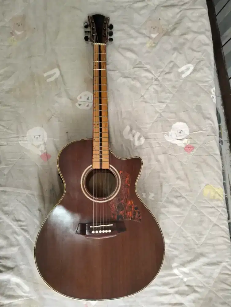 Gitar akustik elektrik - Home Made