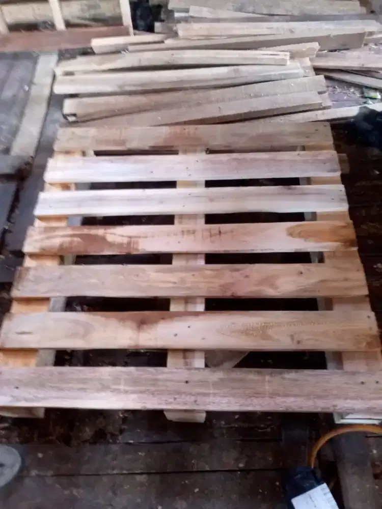 Pallet baru murah