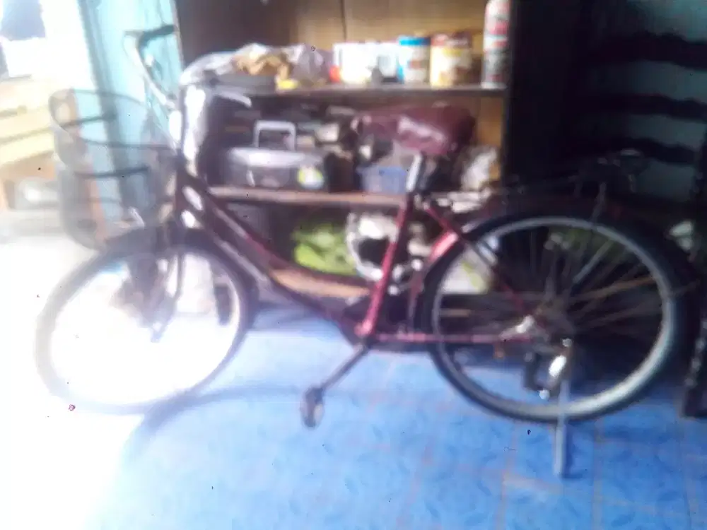 Sepeda mini Giant ban 24