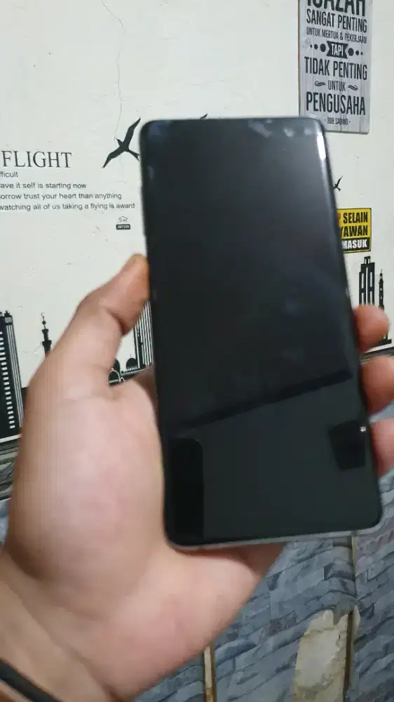 Lcd samsung s10+
