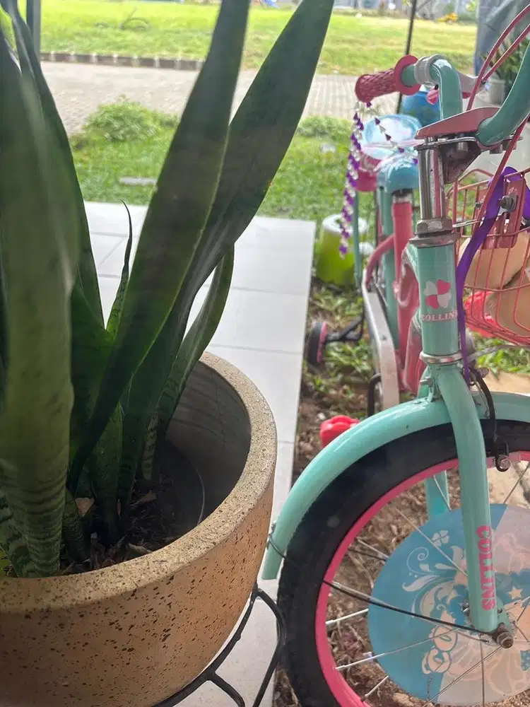 Dicari ART menginap di Pondok Cabe Pamulang