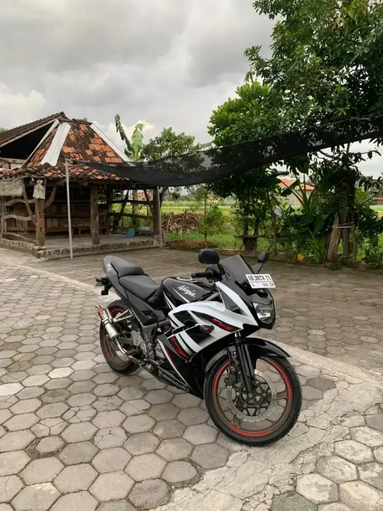 Kawasaki Ninja RR New 2015 Last Edition