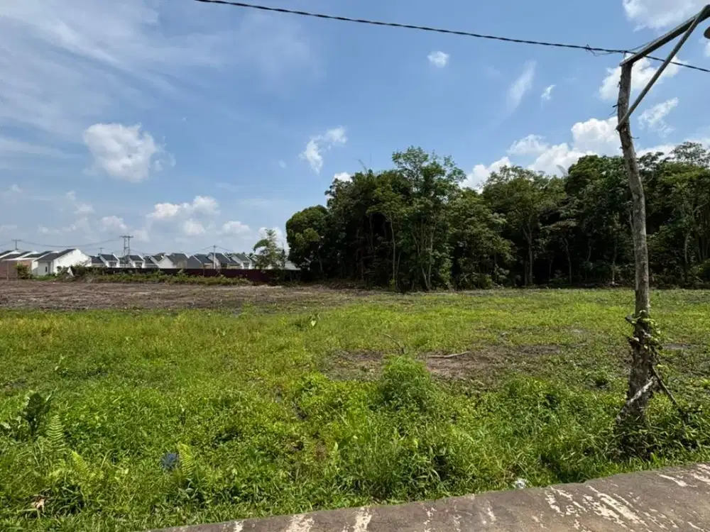 Kaplingan Murah Dekat Bandara Kota Jambi