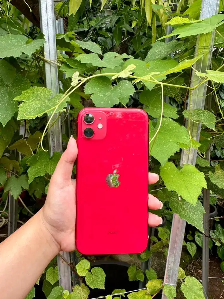 Iphone 11 64 GB Inter All Operator