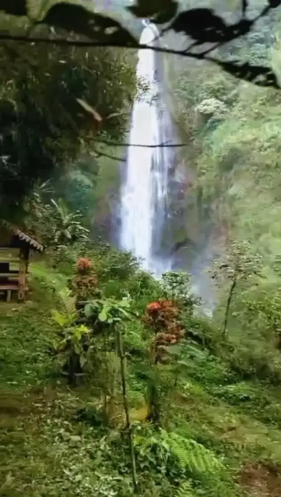 View air terjun