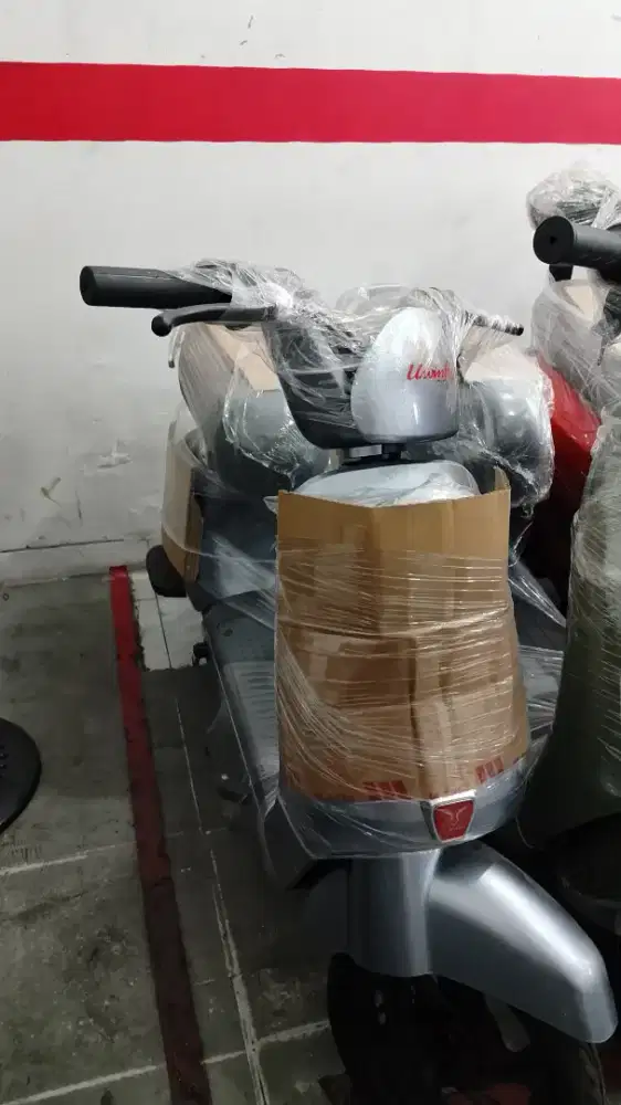 SEPEDA UWINFLY T60