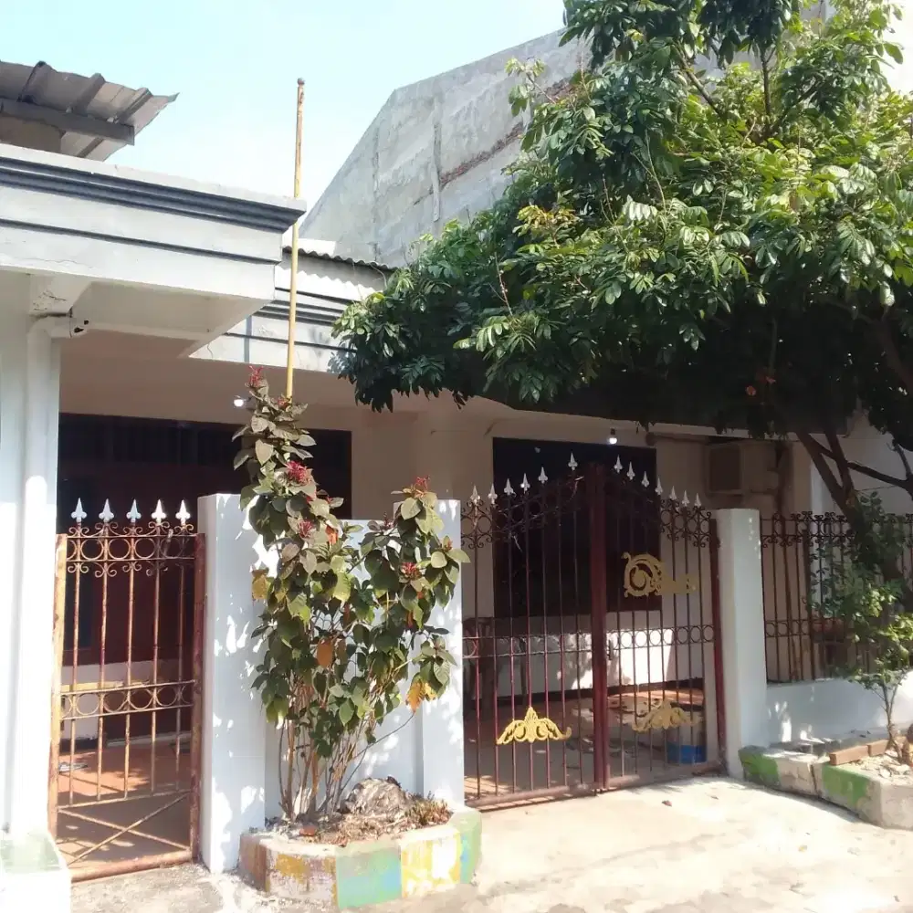 DIJUAL CEPAT!! RUMAH MAGERSARI PERMAI
Rumah dengan Toko