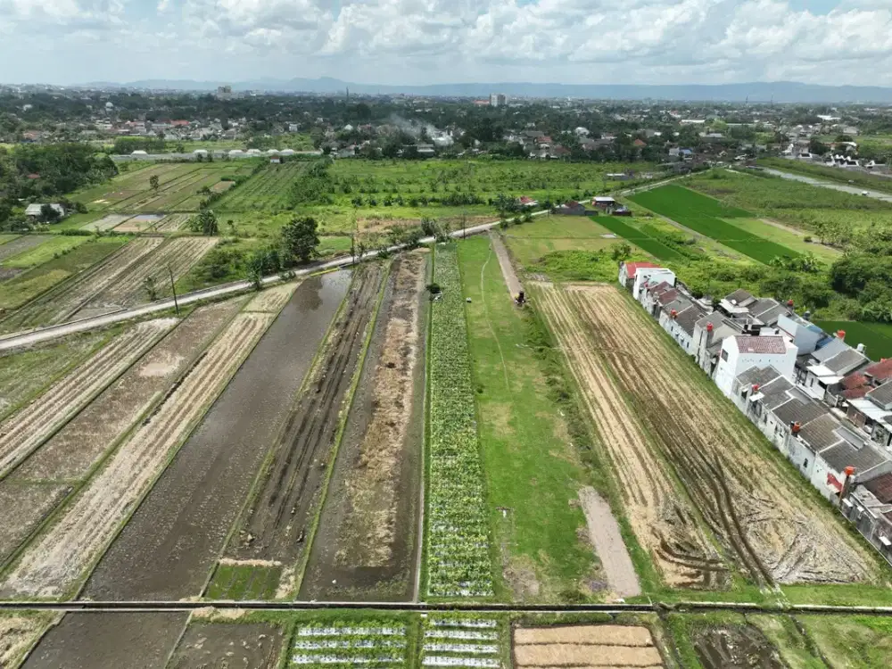 Tanah dengan view sawah dan suasana asri dekat Universtas PGRI pusat