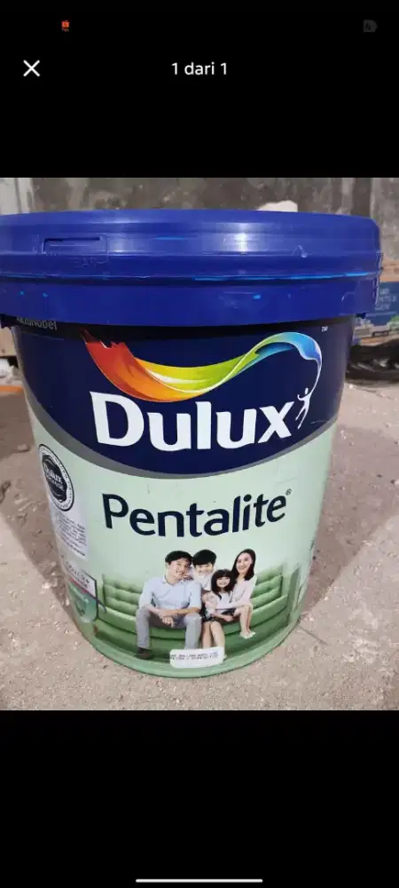 Cat Dulux Interior