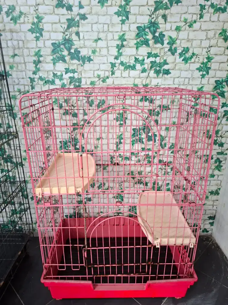 Kandang kucing 2 tingkat
