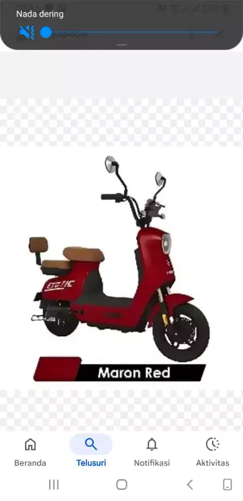 Sepeda listrik blazon excotik