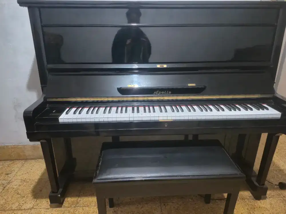Piano Apollo Built Up Hamamatsu Japan